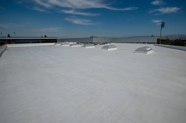 Best Roof Insulation Installation  in Hobart, WA