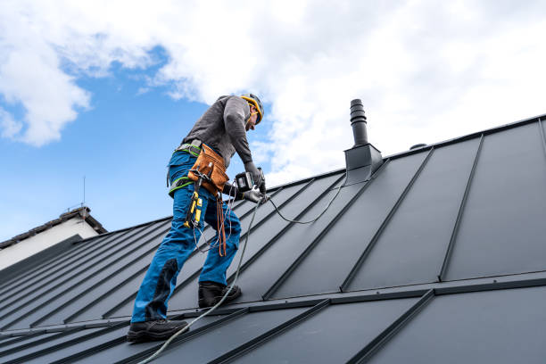 Best Cold Roofs  in Hobart, WA